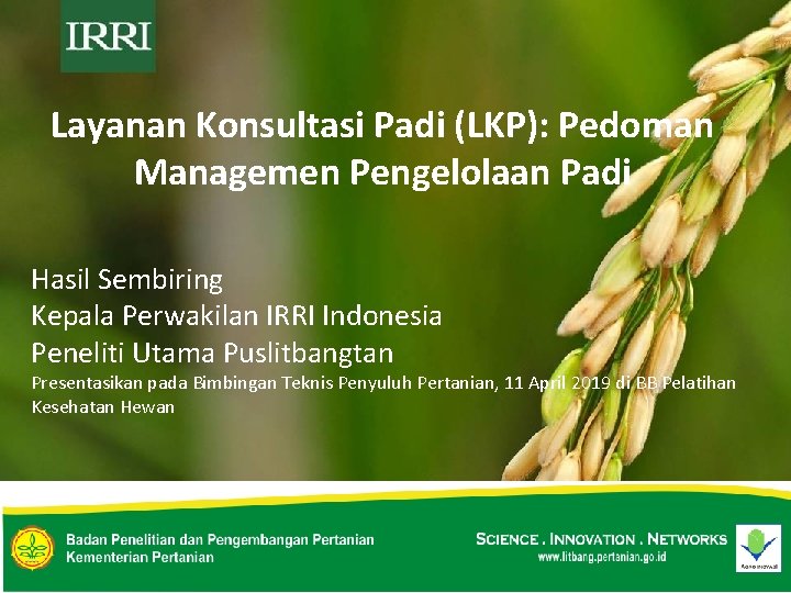 Layanan Konsultasi Padi (LKP): Pedoman Managemen Pengelolaan Padi Hasil Sembiring Kepala Perwakilan IRRI Indonesia