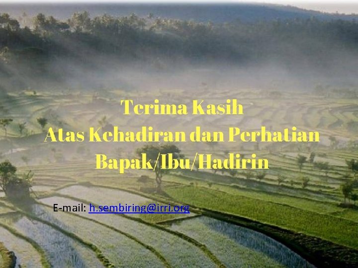 E-mail: h. sembiring@irri. org 