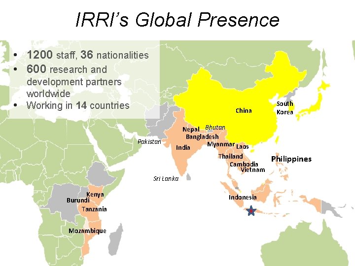 IRRI’s Global Presence • 1200 staff, 36 nationalities • 600 research and • development