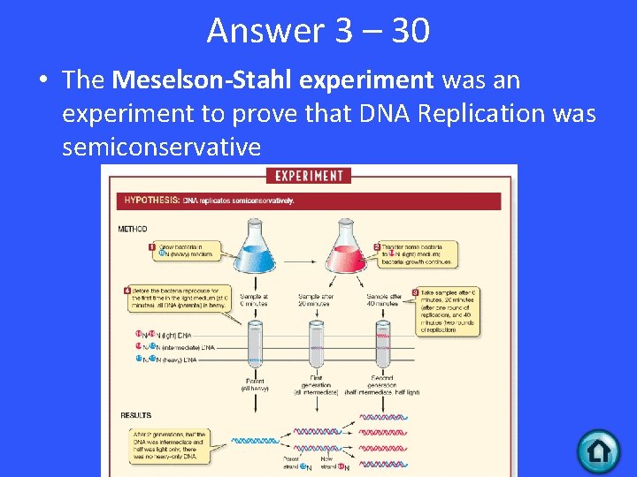 Answer 3 – 30 • The Meselson-Stahl experiment was an experiment to prove that Answer 3 – 30 • The Meselson-Stahl experiment was an experiment to prove that