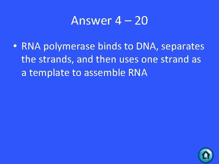 Answer 4 – 20 • RNA polymerase binds to DNA, separates the strands, and Answer 4 – 20 • RNA polymerase binds to DNA, separates the strands, and