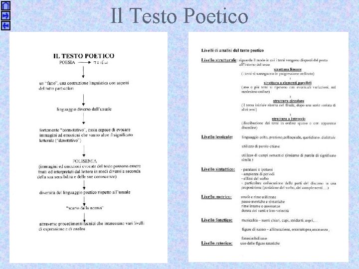 Il Testo Poetico 