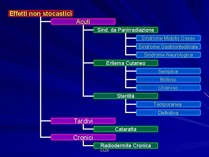 Effetti non stocastici Acuti Sind. da Panirradiazione Sindrome Midollo Osseo Sindrome Gastrointestinale Sindrome Neurologica