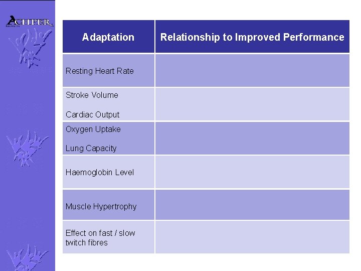 Adaptation Resting Heart Rate Stroke Volume Cardiac Output Oxygen Uptake Lung Capacity Haemoglobin Level