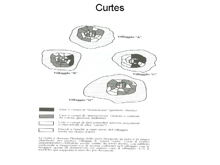 Curtes 