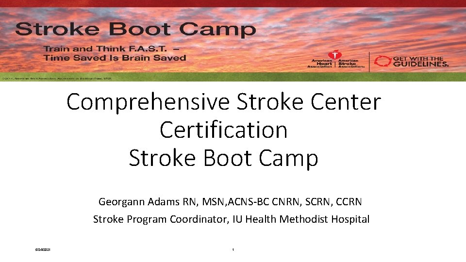 Comprehensive Stroke Center Certification Stroke Boot Camp Georgann Adams RN, MSN, ACNS-BC CNRN, SCRN,