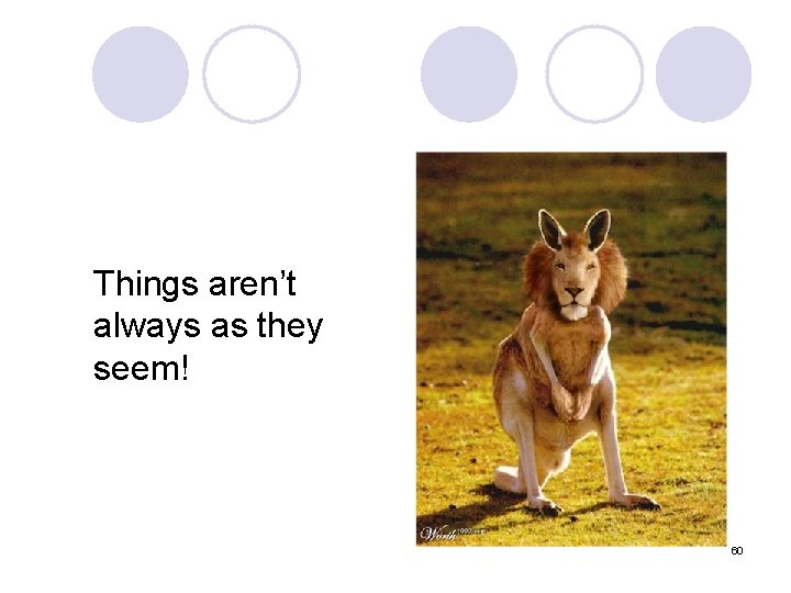 Things aren’t always as they seem! 60 