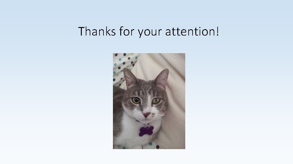 Thanks for your attention! 