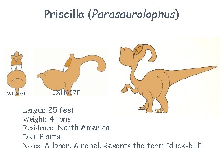 Priscilla (Parasaurolophus) 3 XH 657 F Length: 25 feet Weight: 4 tons Residence: North