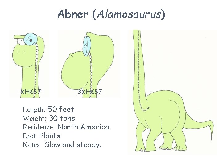 Abner (Alamosaurus) 3 XH 657 B Length: 50 feet Weight: 30 tons Residence: North
