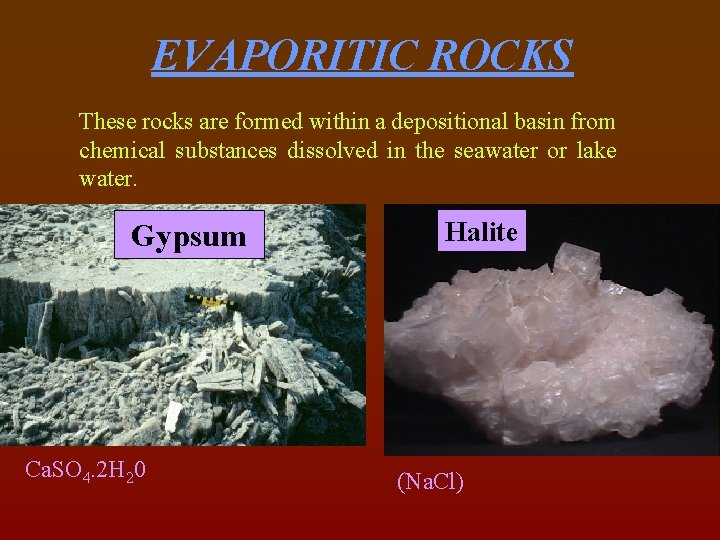 EVAPORITIC ROCKS These rocks are formed within a depositional basin from chemical substances dissolved