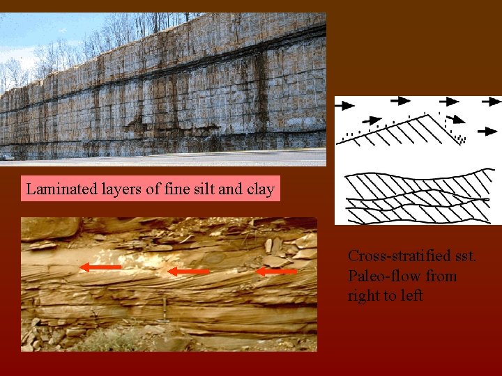 Laminated layers of fine silt and clay Cross-stratified sst. Paleo-flow from right to left