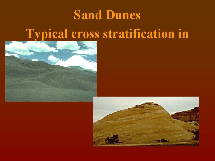 Sand Dunes Typical cross stratification in 