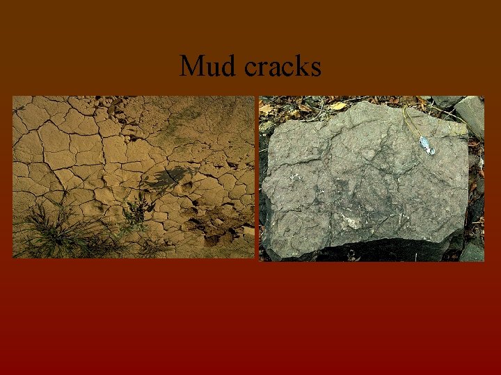 Mud cracks 