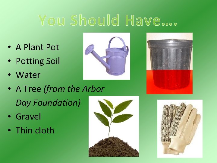 You Should Have…. A Plant Potting Soil Water A Tree (from the Arbor Day