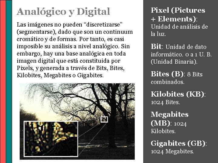 Analógico y Digital Las imágenes no pueden “discretizarse” (segmentarse), dado que son un continuum
