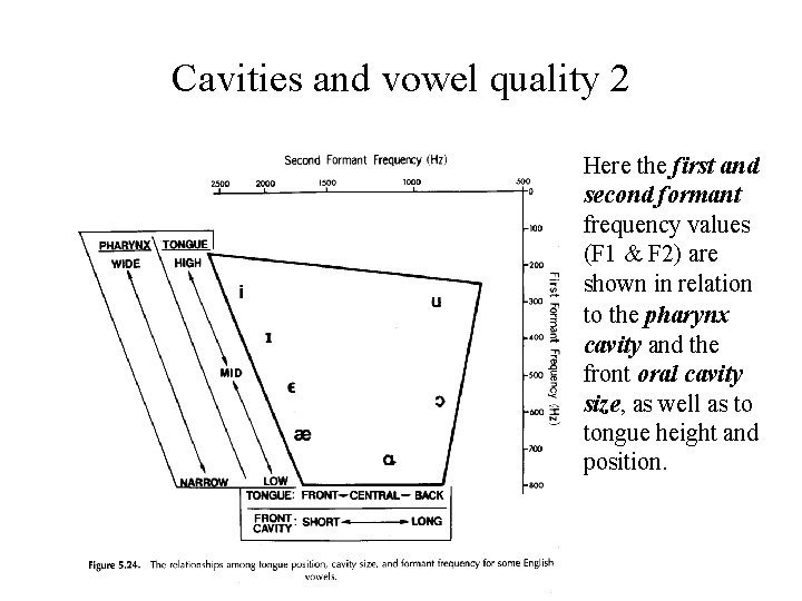 Cavities and vowel quality 2 Here the first and second formant frequency values (F