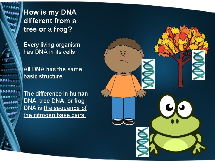 How is my DNA different from a tree or a frog? Every living organism