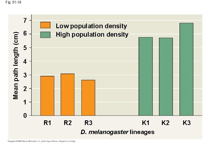 Fig. 51 -18 Mean path length (cm) 7 Low population density High population density