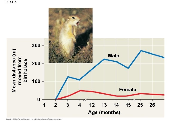 Fig. 51 -29 Mean distance (m) moved from birthplace 300 Male 200 100 Female