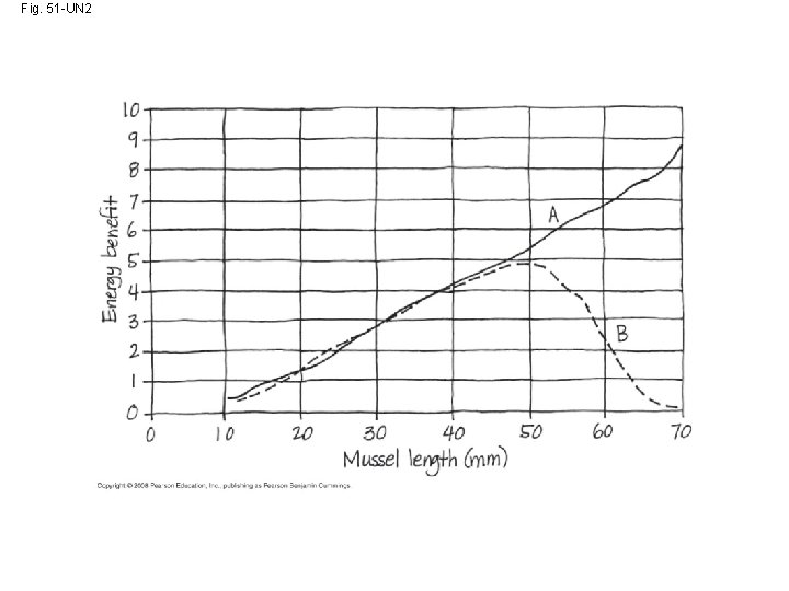 Fig. 51 -UN 2 