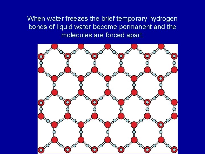 When water freezes the brief temporary hydrogen bonds of liquid water become permanent and