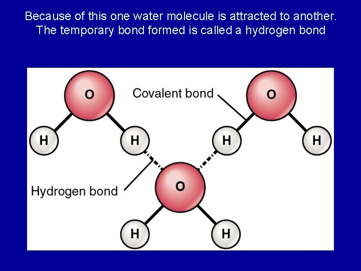 Because of this one water molecule is attracted to another. The temporary bond formed