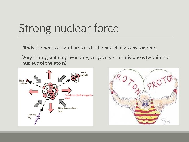 Strong nuclear force Binds the neutrons and protons in the nuclei of atoms together