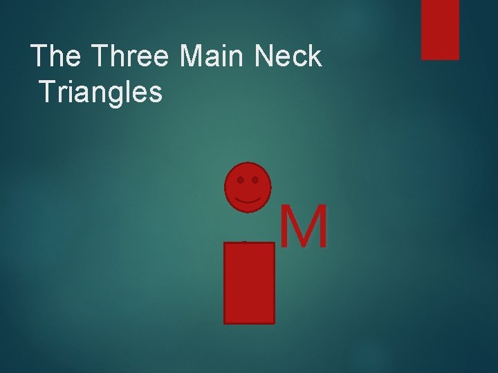 The Three Main Neck Triangles M 