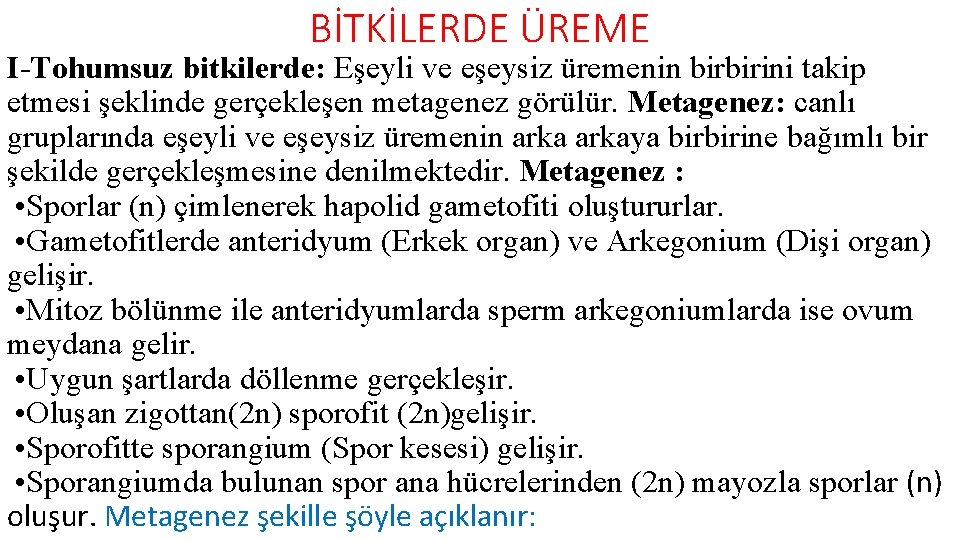 BİTKİLERDE ÜREME I-Tohumsuz bitkilerde: Eşeyli ve eşeysiz üremenin birbirini takip etmesi şeklinde gerçekleşen metagenez