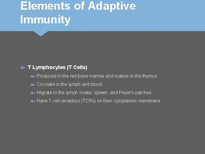 Elements of Adaptive Immunity T Lymphocytes (T Cells) Produced in the red bone marrow