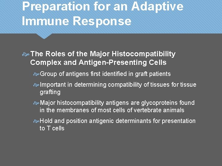 Preparation for an Adaptive Immune Response The Roles of the Major Histocompatibility Complex and