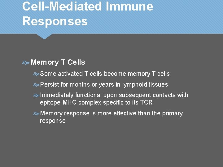Cell-Mediated Immune Responses Memory T Cells Some activated T cells become memory T cells