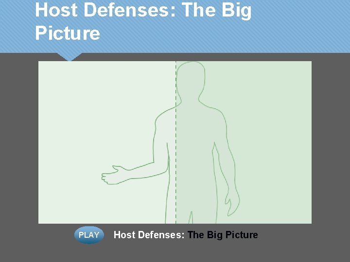 Host Defenses: The Big Picture PLAY Host Defenses: The Big Picture 