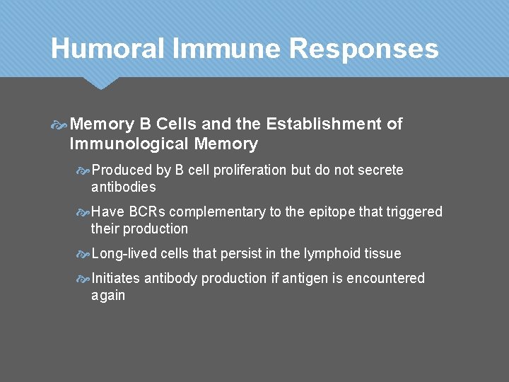 Humoral Immune Responses Memory B Cells and the Establishment of Immunological Memory Produced by