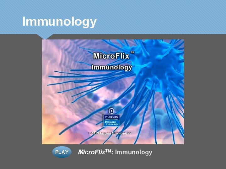 Immunology PLAY Micro. Flix. TM: Immunology 