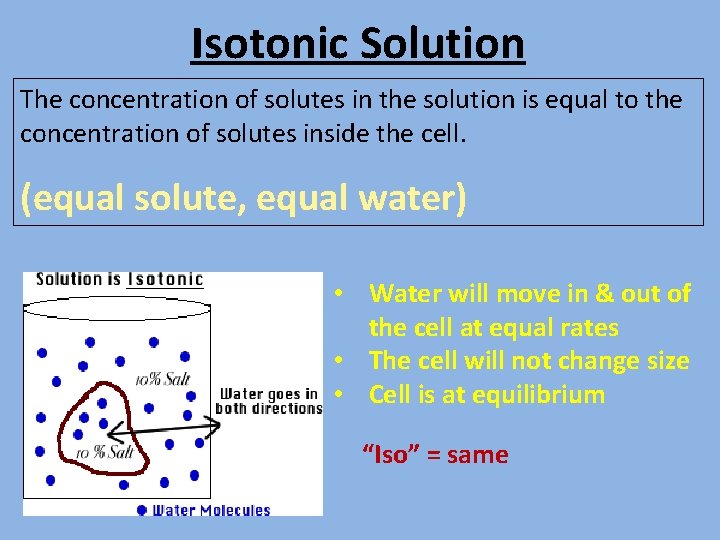 Isotonic Solution The concentration of solutes in the solution is equal to the concentration