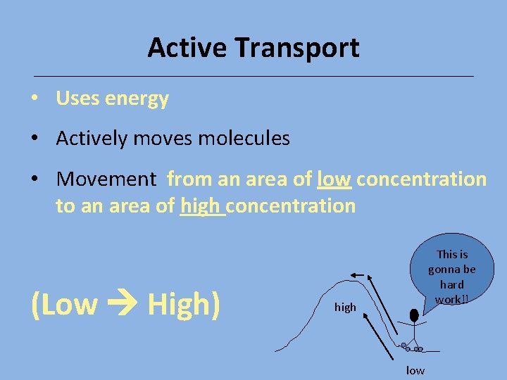 Active Transport • Uses energy • Actively moves molecules • Movement from an area