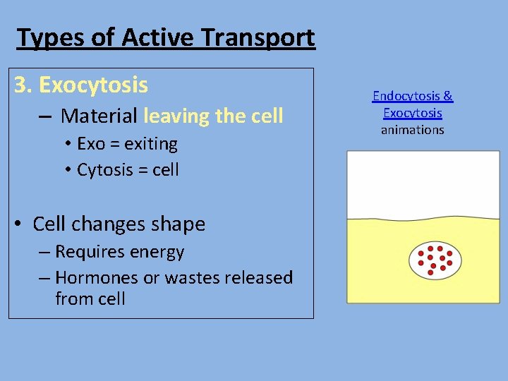 Types of Active Transport 3. Exocytosis – Material leaving the cell • Exo =