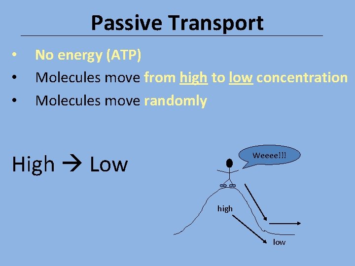 Passive Transport • • • No energy (ATP) Molecules move from high to low