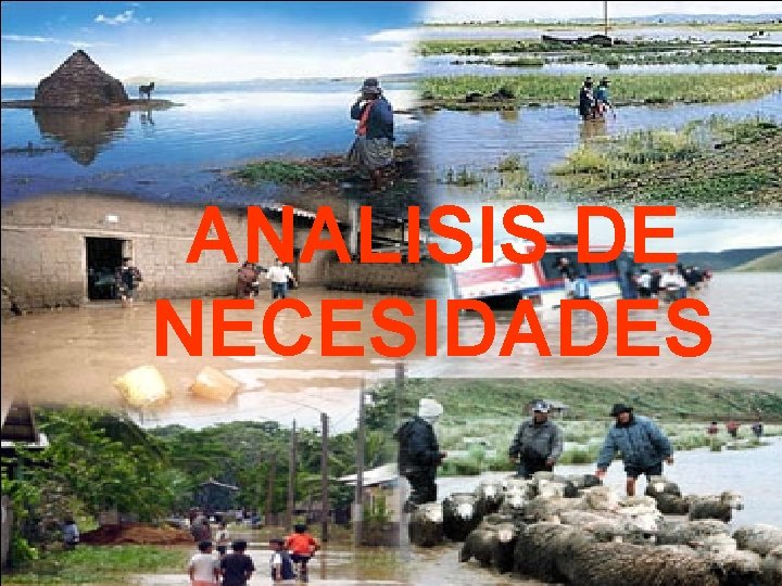 ANALISIS DE NECESIDADES 