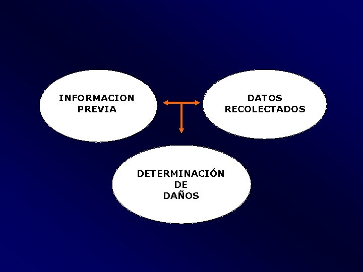 INFORMACION PREVIA DATOS RECOLECTADOS DETERMINACIÓN DE DAÑOS 