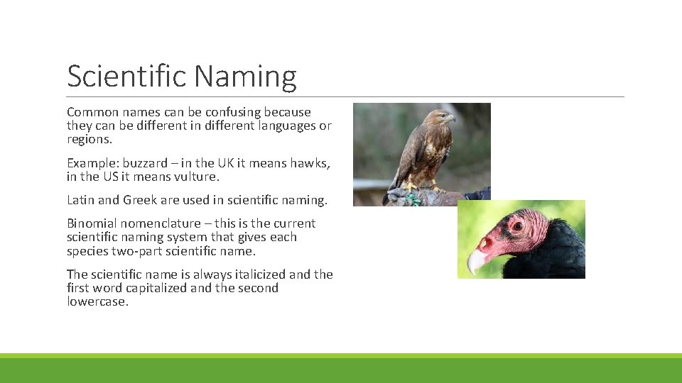 Scientific Naming Common names can be confusing because they can be different in different
