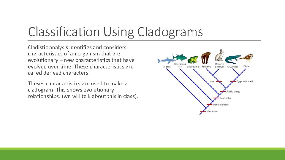 Classification Using Cladograms Cladistic analysis identifies and considers characteristics of an organism that are