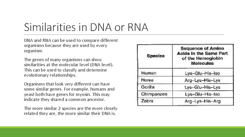 Similarities in DNA or RNA DNA and RNA can be used to compare different