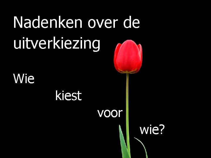 Nadenken over de uitverkiezing Wie kiest voor wie? 