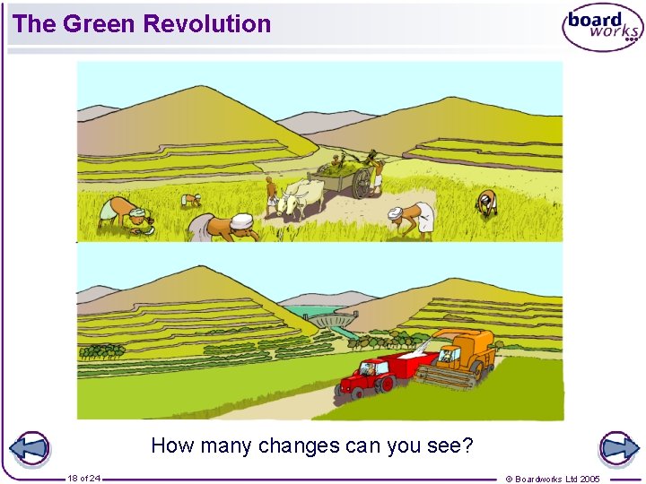The Green Revolution How many changes can you see? 18 of 24 © Boardworks