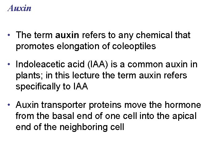 Auxin • The term auxin refers to any chemical that promotes elongation of coleoptiles