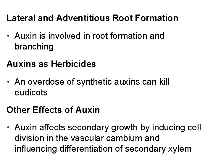 Lateral and Adventitious Root Formation • Auxin is involved in root formation and branching