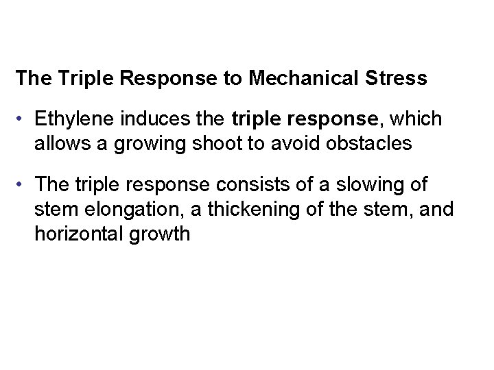 The Triple Response to Mechanical Stress • Ethylene induces the triple response, which allows